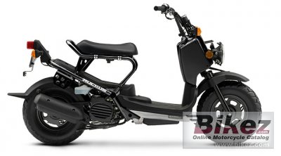 2008 honda ruckus photo